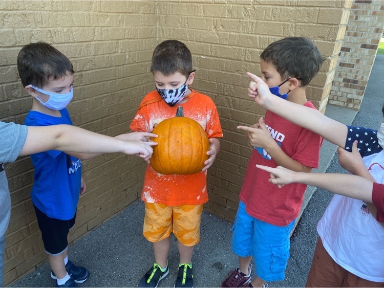 pumpkins