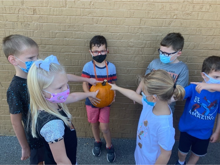 pumpkins